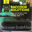 Raccoon Solutions for Green Bin